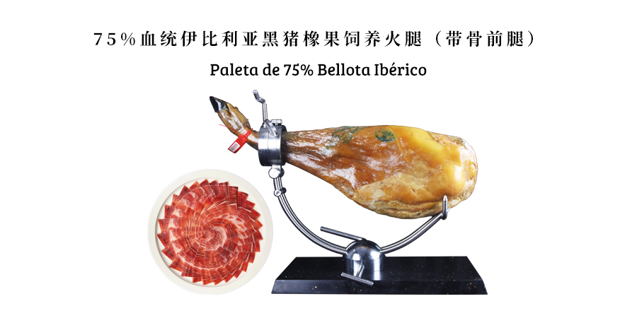 75% Iberian acorn-fed black pig bone-in leg (fore leg)